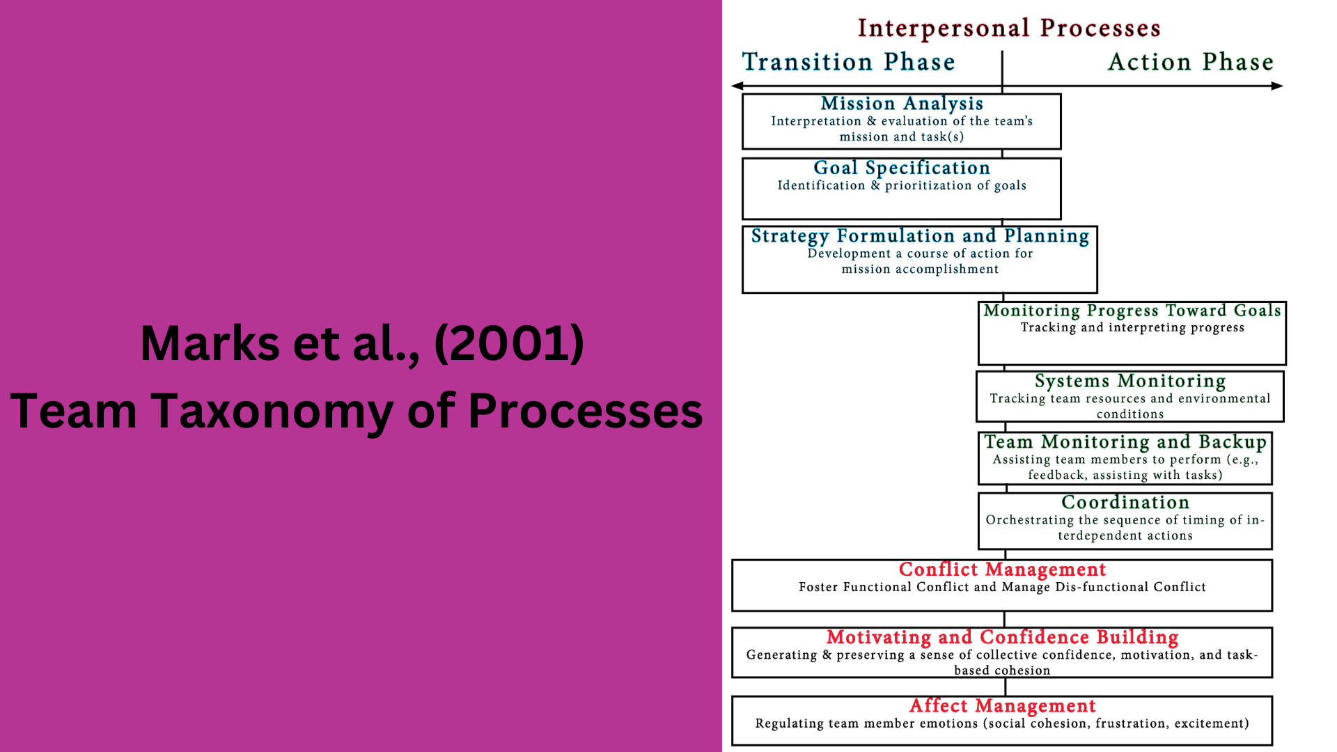 Composite model of the Temporally-Based Taxonomy by Marks et al. (2001) showing all three process dimensions integrated across transition and action phases with interpersonal processes throughout.